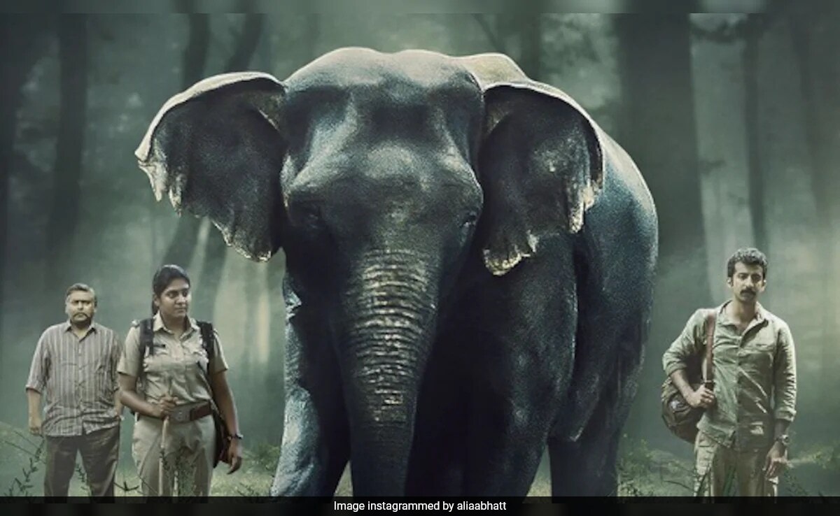 Poacher Review: Powerful Wildlife Crime Thriller Co-Produced By Alia Bhatt