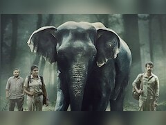 <I>Poacher</I> Trailer: Deep Dive Into The Hunt For India's Elephant Poachers